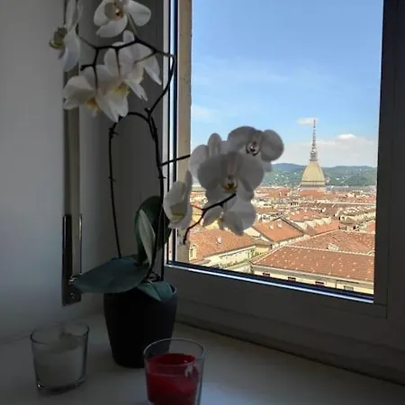 Finestra Sui Tetti Di Appartamento *